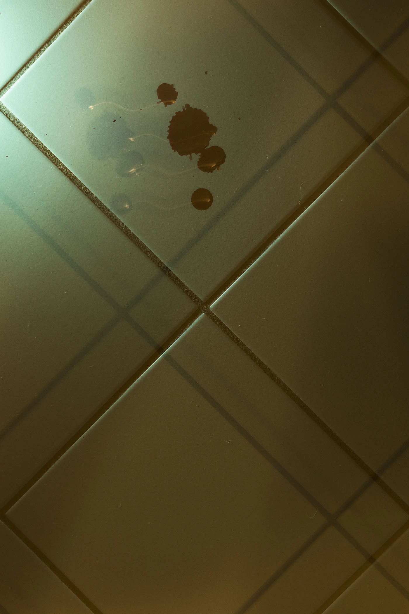 Drop